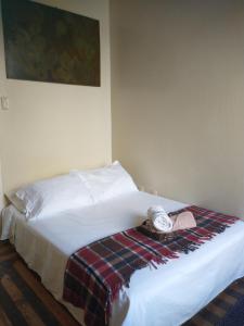 Cama ou camas em um quarto em Guanaaní Hostel