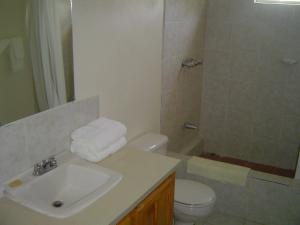a bathroom with a sink and a toilet and a shower at Casa Villa Apartments in Calliaqua