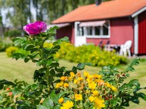 Zahrada ubytování Holiday Home Gapern by Interhome
