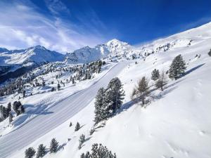 Apartment Hauts de Nendaz A F3 by Interhome v zimě