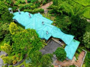 A garden outside Tea Queens Bungalow