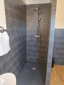 a bathroom with a shower with gray tiles at Logement cabane à la ferme in Sylvéréal