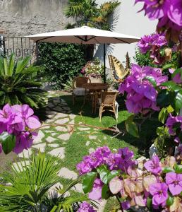 a garden with purple flowers and an umbrella at Ca' do Dria in La Spezia