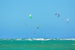 a group of birds flying over the ocean at Bahia Residence Cabarete in Cabarete