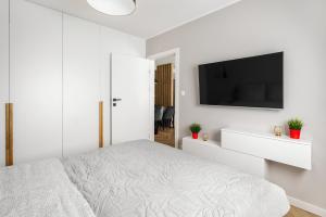 TV/trung tâm giải trí tại Apartament Stacja Wisła
