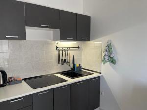 Kuchyňa alebo kuchynka v ubytovaní Apartman Hrusta Crikvenica