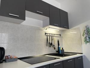 Kuchyňa alebo kuchynka v ubytovaní Apartman Hrusta Crikvenica