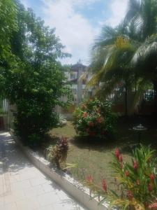 a yard with a palm tree and a building at Mumatt’s Guesthouse in Port Antonio