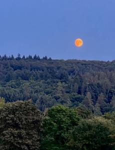 a orange moon in the sky over a forest at Ferienwohnung GoodTimes in Hausen über Aar