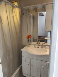Un baño con lavabo y cortina de ducha. en Casa Tunez, en Buenos Aires