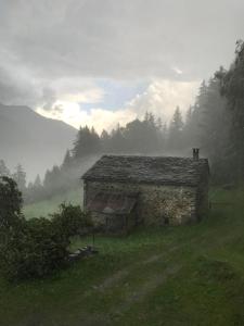Příroda nedaleko apartmánu