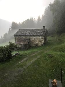 Příroda nedaleko apartmánu