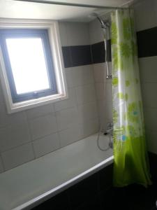 bagno con tenda per la doccia e finestra di Olivia Budget Apartment a Paralimni