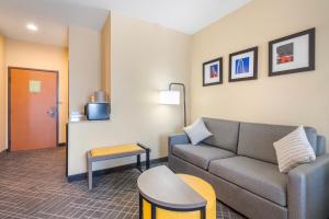 Posezení v ubytování Comfort Suites McKinney-Allen