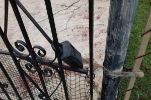 Binatang di rumah percutian atau berdekatan