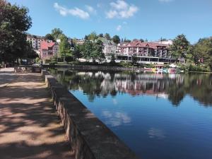 a river in a city with houses and buildings at Hochwald EnSuite in Bad Sachsa +17 photos