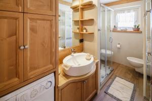 a bathroom with a sink and a glass shower at CiasaToa in Cortina dʼAmpezzo