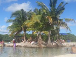 Fotografie z fotogalerie ubytování Appart depa CENTER v destinaci Playa del Carmen