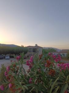 a garden with pink flowers in a parking lot at Eirini- Ioanna in Sami