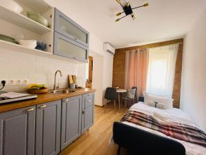 a kitchen with a bed and a sink in a room at Vamesu Frontiers in Sibiu