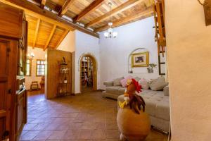 Fotografie z fotogalerie ubytování Natural Retreat & Pet-Friendly Escape v destinaci Miacatlán