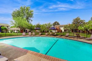 Swimmingpoolen hos eller tæt på Silverado Resort and Spa 287 & 288