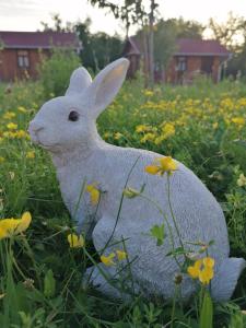 Tiere in der Pension oder in der Nähe