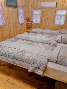2 Betten in einem Zimmer mit Holzwänden und Fenstern in der Unterkunft La Nea Ion in Ţaul