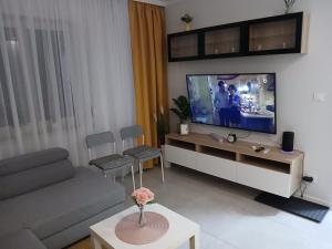 TV a/nebo společenská místnost v ubytování Apartament Euro Bytom