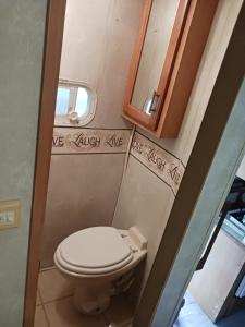 a small bathroom with a toilet and a mirror at Oasis in Winter Haven +13 photos