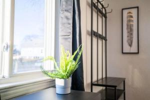 Gallery image of ABODE ON ATLANTIC - Spacious 2BD in the Heights in Peoria
