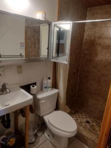 Un baño con ducha, inodoro y lavabo. en Big Bear Lake - Tulip Lane Cabin #26, en Big Bear Lake