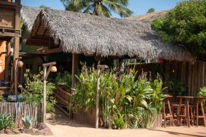 a hut with a straw roof and some plants at Arrey Boutique Hotel in Barra Grande