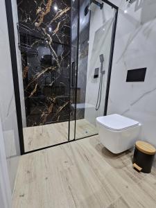 a bathroom with a shower and a toilet in it at Apartament Sielpia DeLuxe in Sielpia Wielka +6 photos