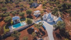 an aerial view of a house with a swimming pool at Borgo dei trulli Fanelli in Castellana Grotte