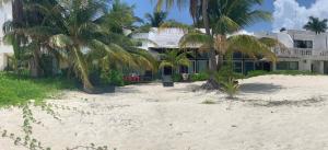 a house on the beach with palm trees in front at Ocean View PRIVATE BEACH in Cancún