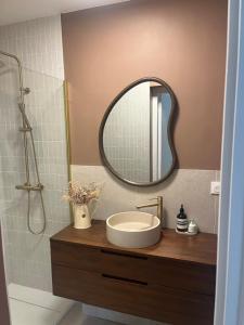 a bathroom with a sink and a mirror at Le Villandry in Béthune +12 photos