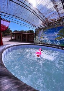 a pink flamingo swimming in a swimming pool at Karma Rural Buenavista in Santa Marinella