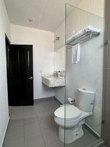 a bathroom with a toilet and a sink at Suite Los Angeles in Tecozautla