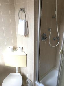 a bathroom with a shower and a toilet and a sink at Hotel Am Theaterplatz in Bremerhaven