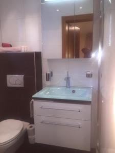 A bathroom at Haus Zudrell