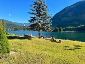 un árbol sentado en la hierba junto a un lago en Waterfront, Mountainview House in Castlegar, en Castlegar