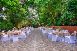 Giardino di Mayfair Lagoon