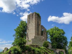 Fotografie z fotogalerie ubytování Burg Windeck ***S v destinaci Bühl