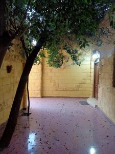 a room with a tree and a wall at Big pyramid view house in Cairo