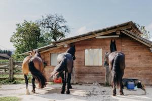Gestir sem dvelja á Andis Reiterstüberl, Rainweg 1 , 9311 Überfeld