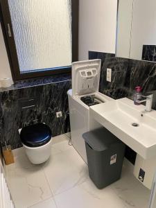a bathroom with a toilet and a sink at 1 Zimmer Ferienwohnung in Essen in Essen