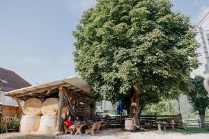 Fotografie z fotogalerie ubytování Andis Reiterstüberl, Rainweg 1 , 9311 Überfeld v destinaci Sankt Veit an der Glan