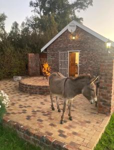 a donkey standing in front of a brick building at Rivier-Plesier Cottage at Riggton River Farm in Bonnievale