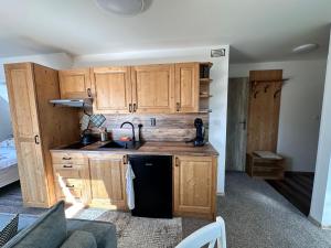 Kuchyňa alebo kuchynka v ubytovaní Apartmány Hanička